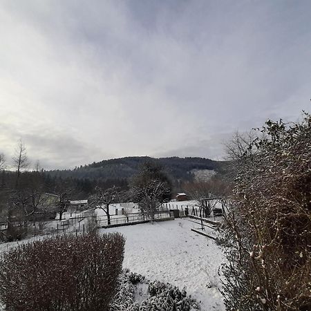 Chez Vovone 3 Etoiles Clevacances Saulxures-sur-Moselotte 外观 照片