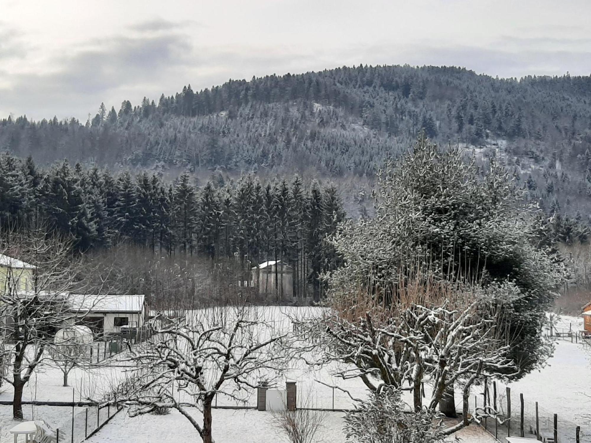 Chez Vovone 3 Etoiles Clevacances Saulxures-sur-Moselotte 外观 照片