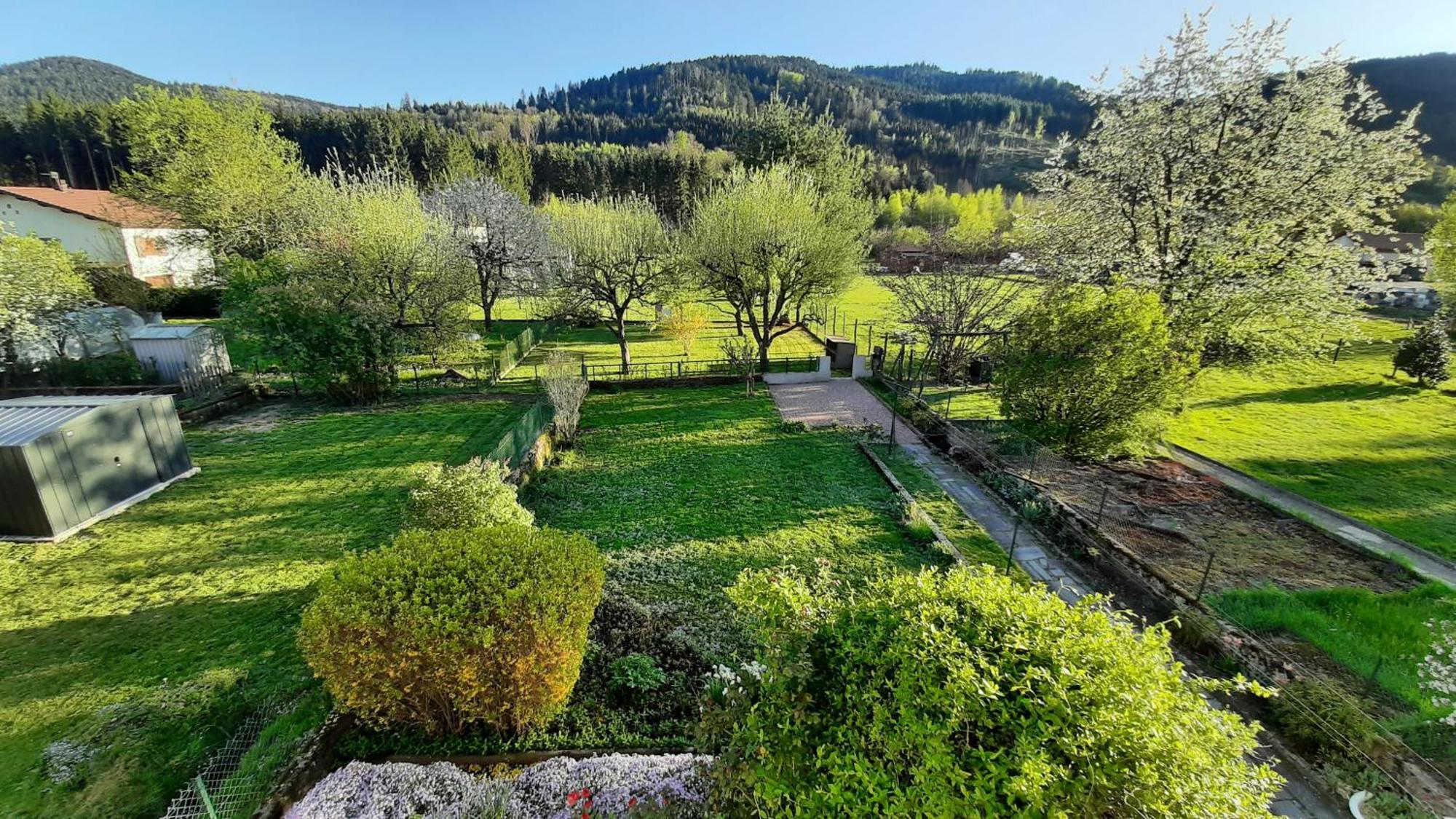 Chez Vovone 3 Etoiles Clevacances Saulxures-sur-Moselotte 外观 照片